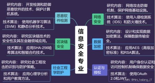 信息安全專(zhuān)業(yè)畢設(shè)選題指導(dǎo)手冊(cè) 熱門(mén)研究方向全覆蓋